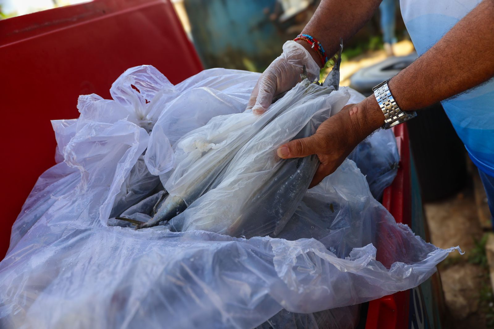 20 toneladas de peixes são distribuídas para famílias valencianas na tradicional Semana Santa